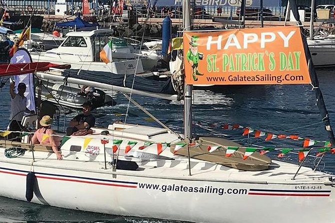 Whale and Dolphin Small Group Sailing from Tenerife South - What the $60.49 price gives you