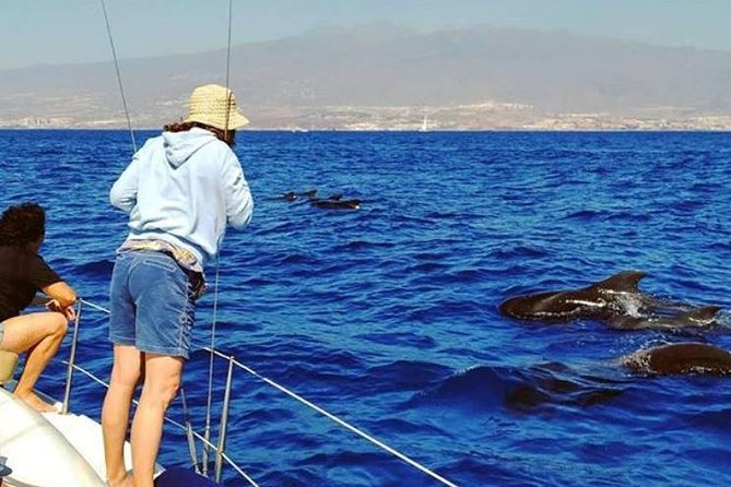 Whale and Dolphin Small Group Sailing from Tenerife South - Watching pilot whales and dolphins from a small boat