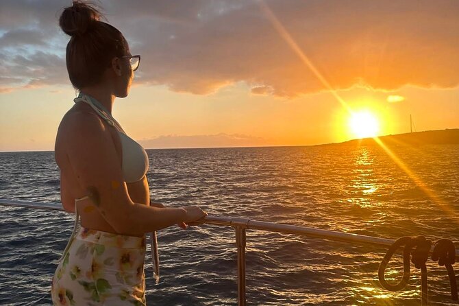 Whale and Dolphin Watching Catamaran with Transfer and Buffet - Coastal views on the return sail