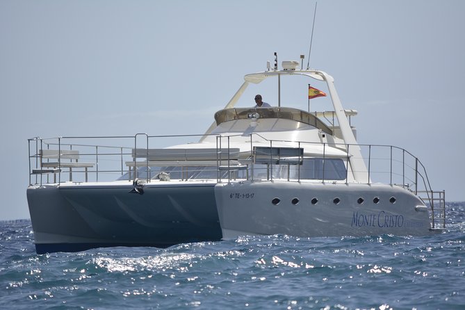 Whale and Dolphin Watching Catamaran with Transfer and Buffet - Drinks and tapas while the boat is underway