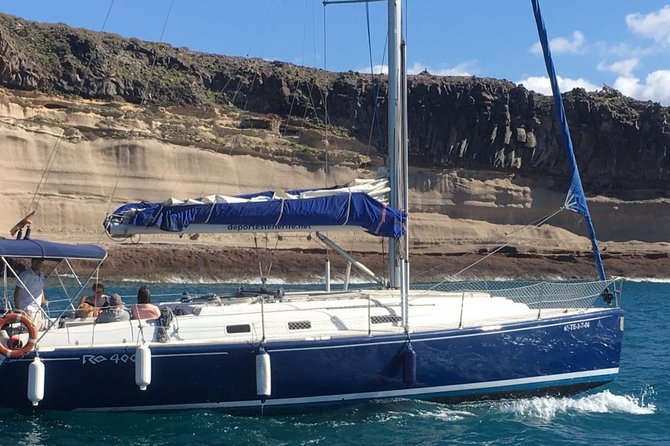 Whale and Dolphin Watching Sailing Boat with Drinks, Snacks and Swimming Time - How the $78.44 price compares with the experience
