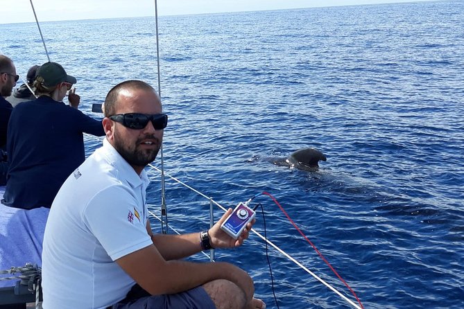 Whale and Dolphin Watching Sailing Boat with Drinks, Snacks and Swimming Time - Safety, comfort, and seasickness