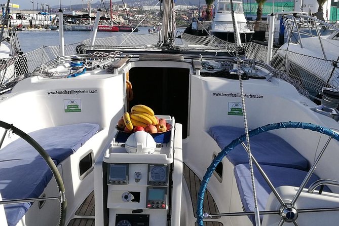 Whale and Dolphin Watching Sailing Boat with Drinks, Snacks and Swimming Time - Who will enjoy this sailing trip most?