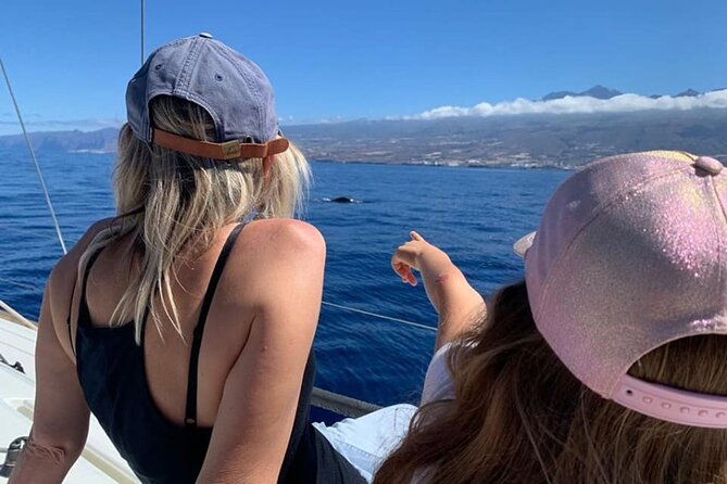 Whale and Dolphin Watching Yacht Trip in Puerto Colon - A yacht, not a crowded excursion boat