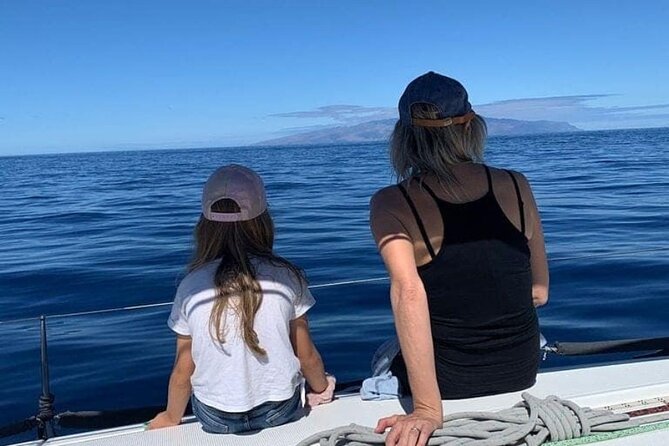 Whale and Dolphin Watching Yacht Trip in Puerto Colon - Is $62.56 a fair price?