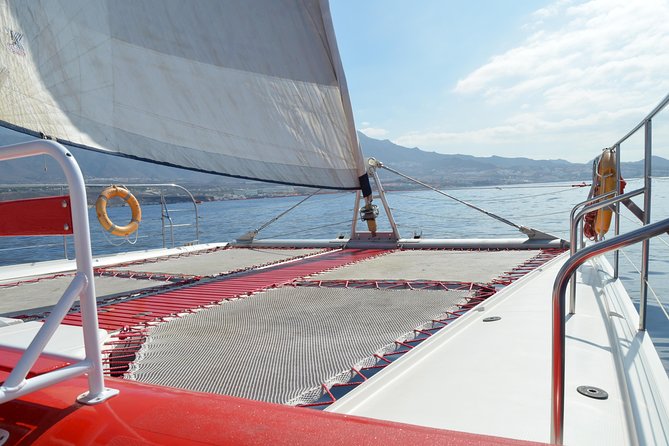 Whale watching and listening Eco-Catamaran Tour with Food Tasting - Key points before you book