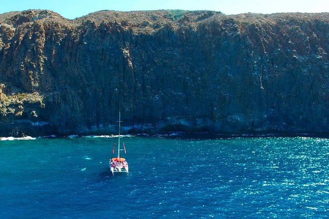 Whale watching and listening Eco-Catamaran Tour with Food Tasting - Setting out from Puerto Colón in Costa Adeje