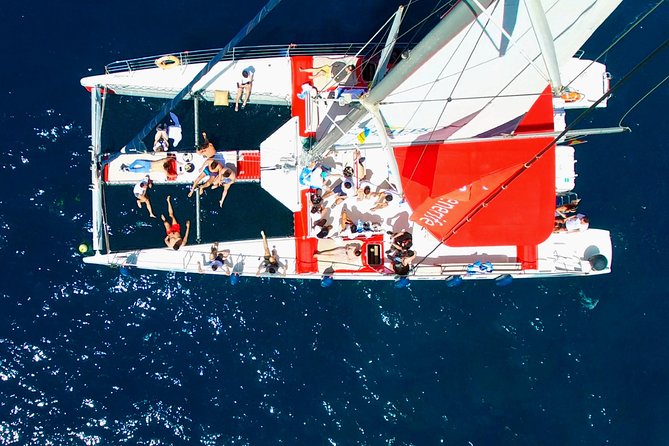 Whale watching and listening Eco-Catamaran Tour with Food Tasting - Listening to whales, then swimming near the coast