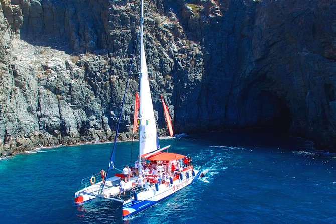 Whale watching and listening Eco-Catamaran Tour with Food Tasting - Sandwiches, drinks, and the onboard mood