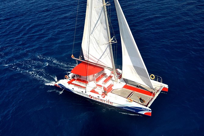 Whale watching and listening Eco-Catamaran Tour with Food Tasting - What the three-hour route feels like