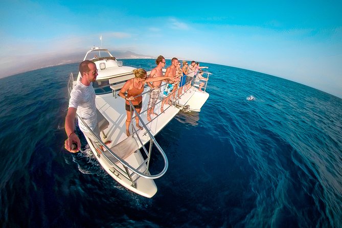 Whale Watching Catamaran Cruise with Transfer, Buffet by MC - Key points to know before you book