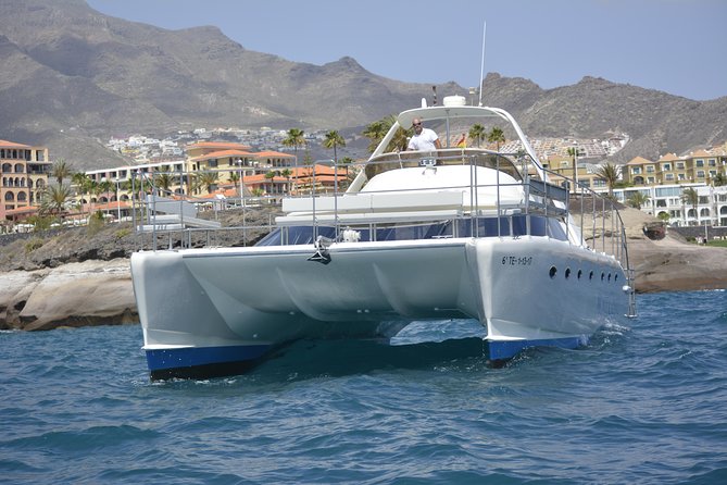 Whale Watching Catamaran Cruise with Transfer, Buffet by MC - Morning, afternoon, or sunset sailing