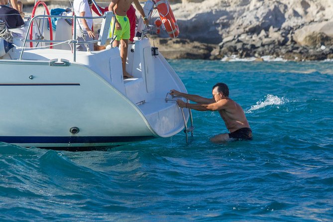 Whales & Dolphins watching in exclusive sailboat - Sandwiches, drinks, and a relaxed pace