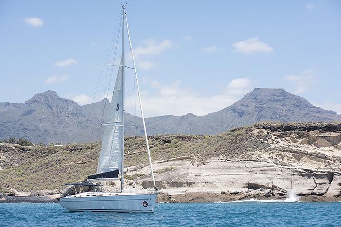 Whales & Dolphins watching in exclusive sailboat - Who will enjoy this outing most?