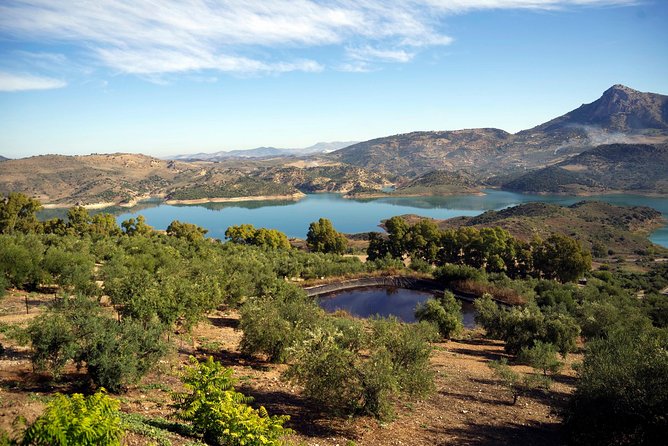 White Villages and Ronda Day Tour from Seville - Key points before you book