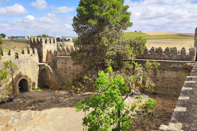 White Villages and Ronda Day Tour from Seville - Walking, weather, and comfort
