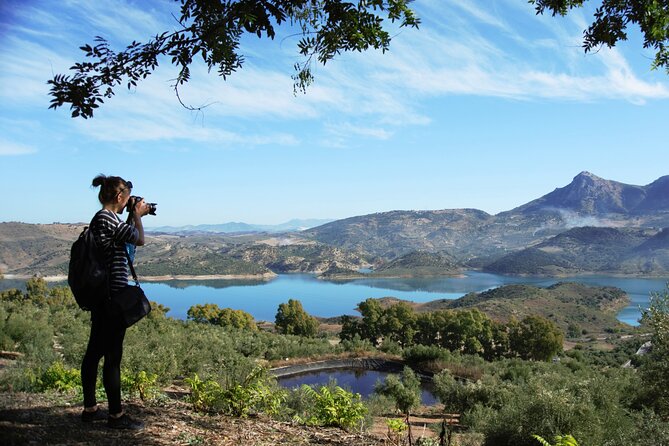 White Villages and Ronda Day Tour from Seville - A quick stop at Las Aguzaderas Castle