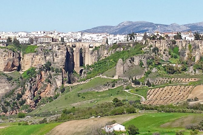 White Villages and Ronda Guided Day Tour from Seville - Ronda’s gorge, bridge, and old-town payoff