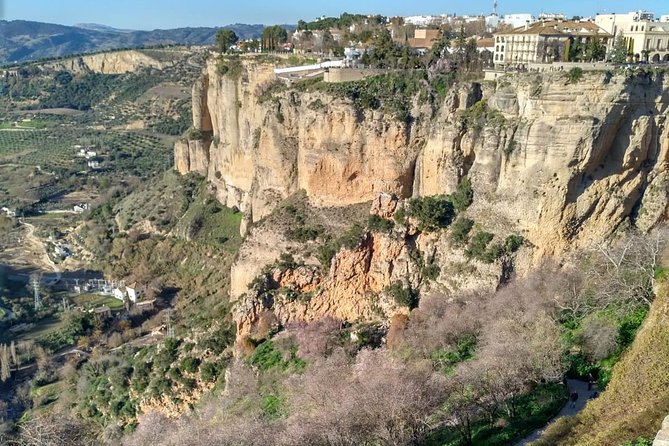 White Villages and Ronda Guided Day Tour from Seville - What the road journey adds, and what it costs