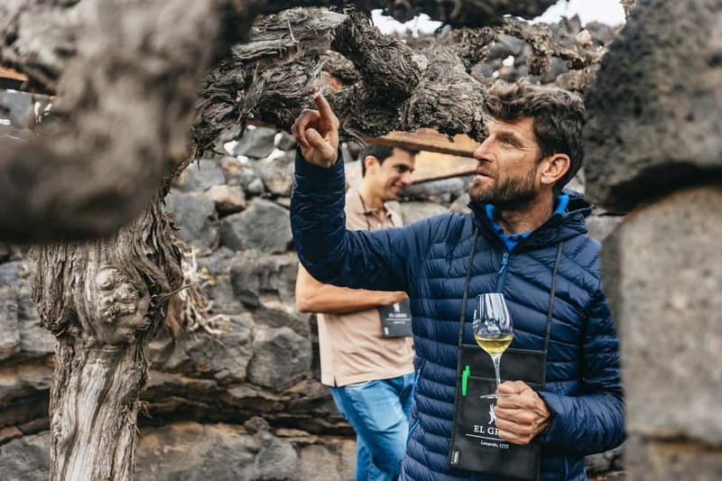 Wine Lovers: Wine Tasting Tour at El Grifo Bodega Lanzarote - Key points about the El Grifo wine tour
