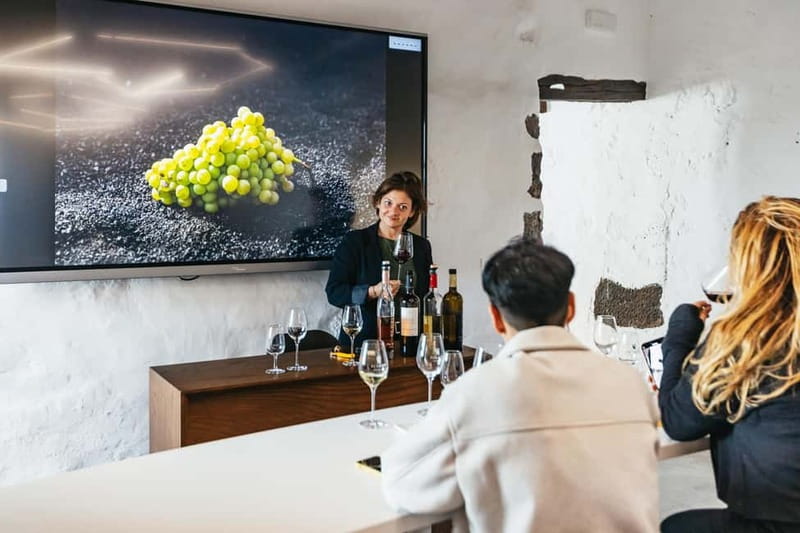 Wine Lovers: Wine Tasting Tour at El Grifo Bodega Lanzarote - From trade winds to volcanic soil