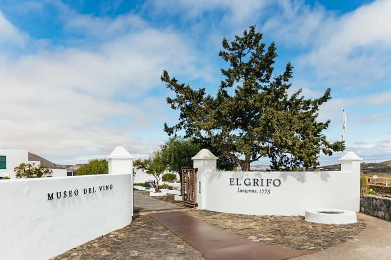 Wine Lovers: Wine Tasting Tour at El Grifo Bodega Lanzarote - Local cheese makes the tasting more useful