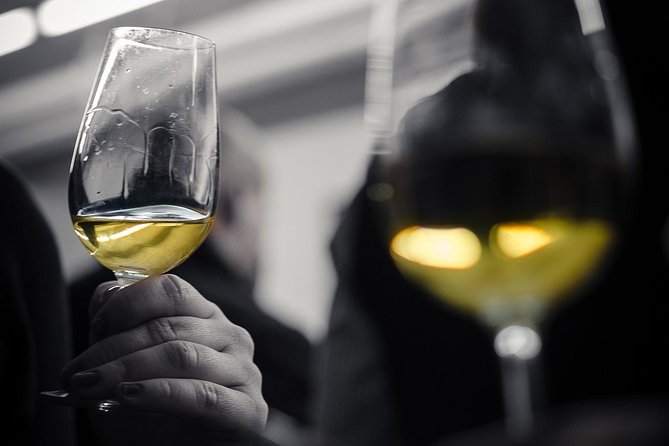 Wine Tasting Experience in Barcelona - Key points to know before you book